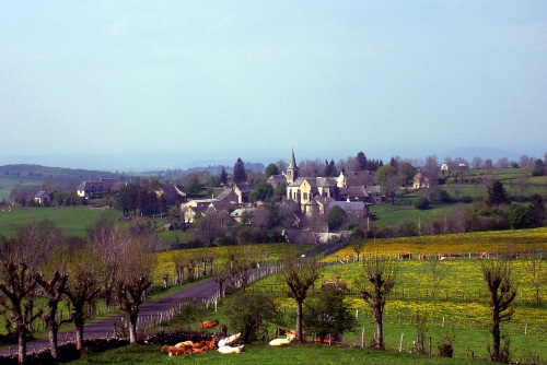 Description de l'image