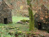 Les Amis du Moulin de Terral